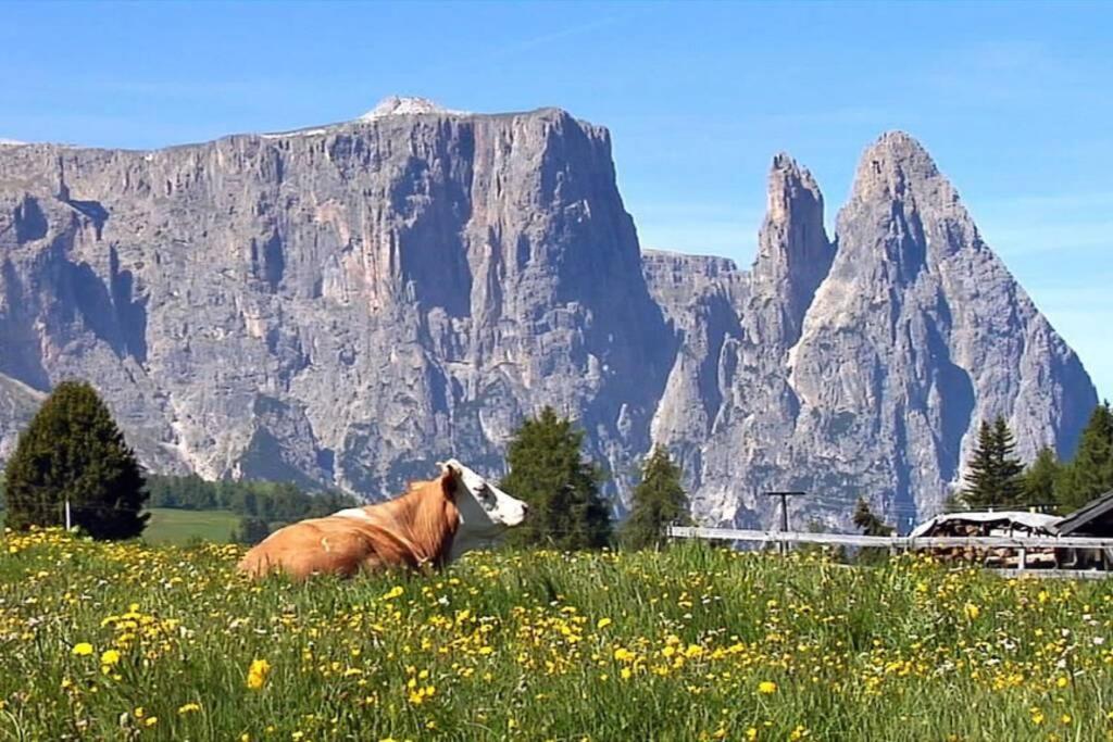 דירות Fantastico Monolocale In Siusi Sciliar מראה חיצוני תמונה
